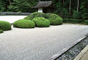 抗菌砂・孝行砂
